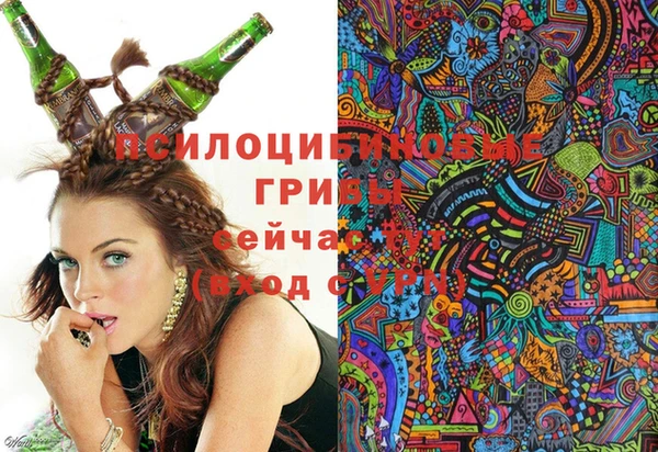 шишки Алексеевка