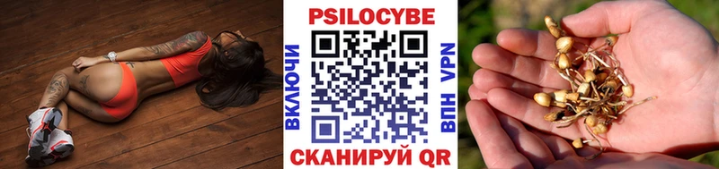 Псилоцибиновые грибы прущие грибы  ссылка на мегу как зайти  Починок  закладка 
